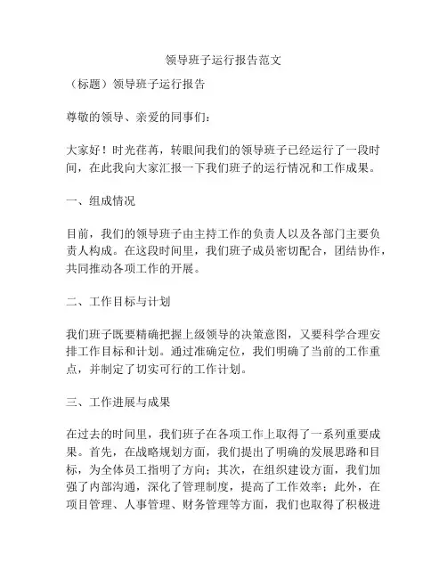 领导班子运行报告范文