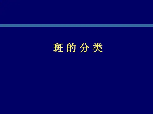 斑的分类ppt课件
