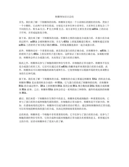 核糖体知识点总结
