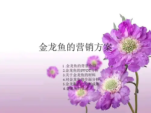 金龙鱼案例分析