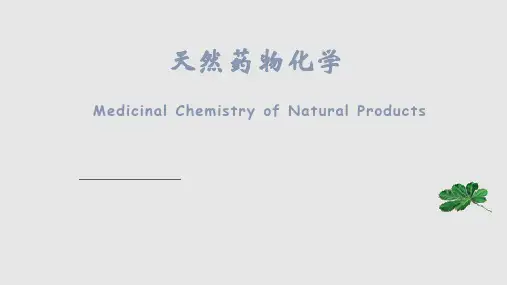 天然药物化学PPT课件