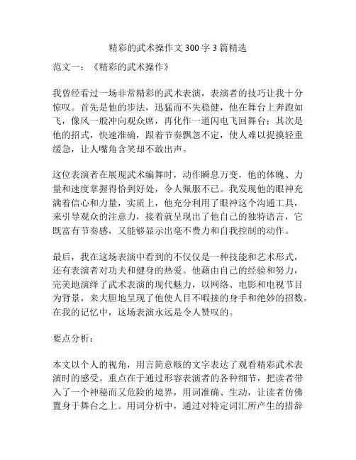 精彩的武术操作文300字3篇精选