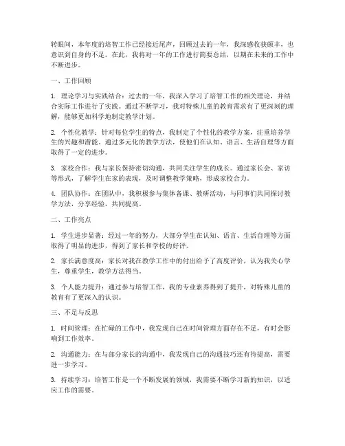 培智工作个人工作总结