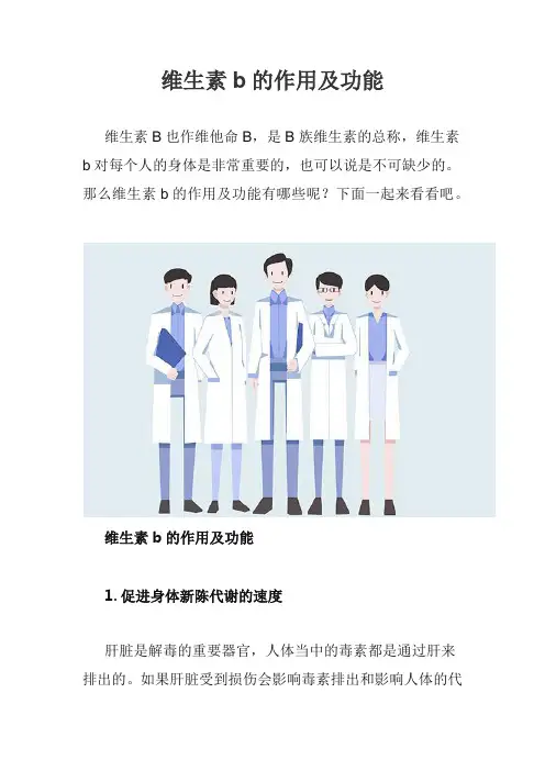 维生素b的作用及功能