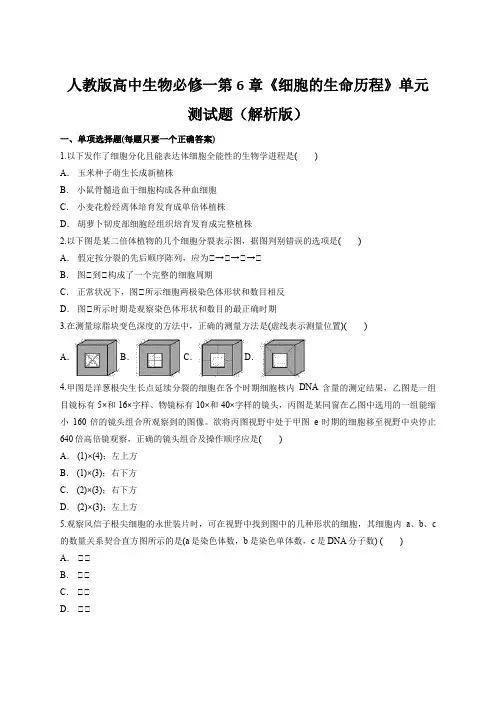 人教版高中生物必修一第6章《细胞的生命历程》单元测试题(解析版)