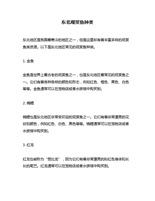 东北观赏鱼种类