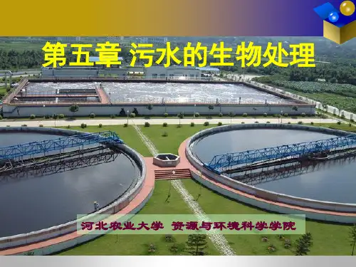 第四章 第一节-活性污泥法