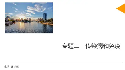 人教版九年级生物复习课：传染病和免疫  课件(33张PPT)