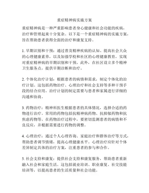 重症精神病实施方案