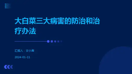 大白菜三大病害的防治和治疗办法