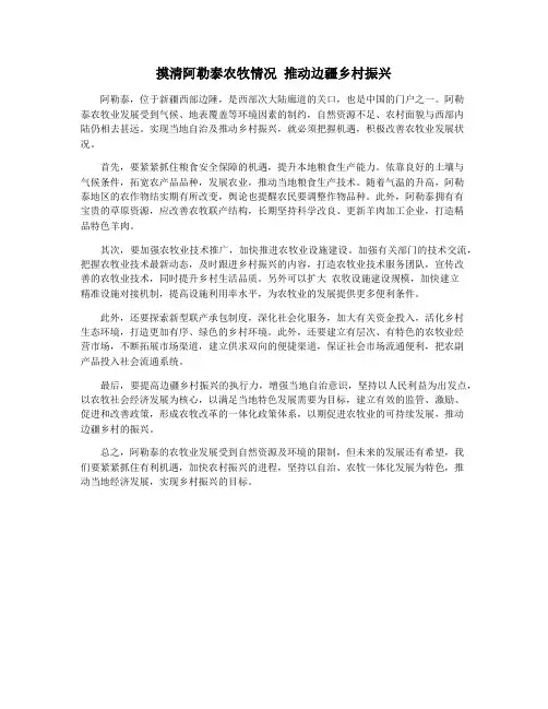 摸清阿勒泰农牧情况 推动边疆乡村振兴