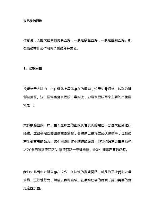 多巴胺的回路读书笔记读书摘录读书感想
