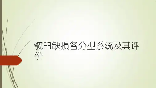 髋臼缺损分型