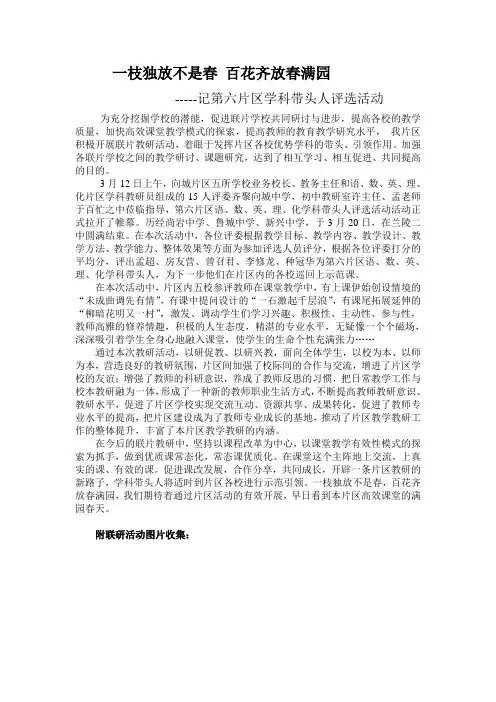 2013年片区学科带头人评选活动总结