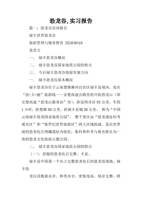 恐龙谷,实习报告