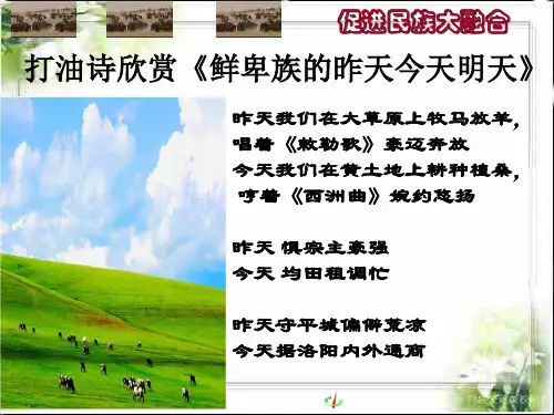 人教版高中历史选修1：第三单元第3课促进民族大融合 (共28张PPT)