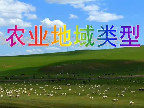大牧场放牧业00