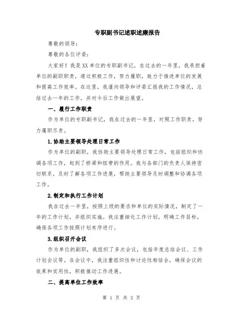 专职副书记述职述廉报告