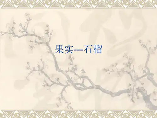 石榴简介