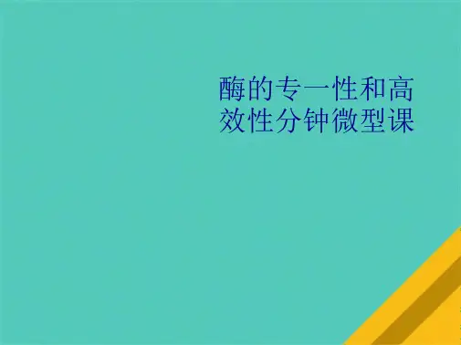 酶的专一性和高效性分钟微型课(共10张PPT)