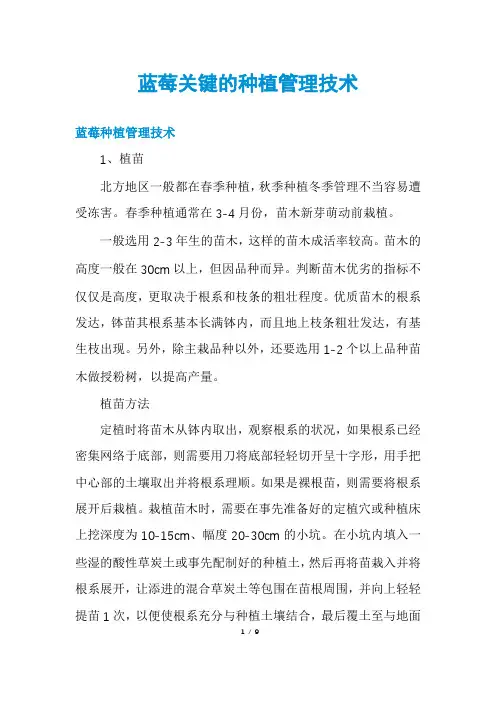 蓝莓关键的种植管理技术