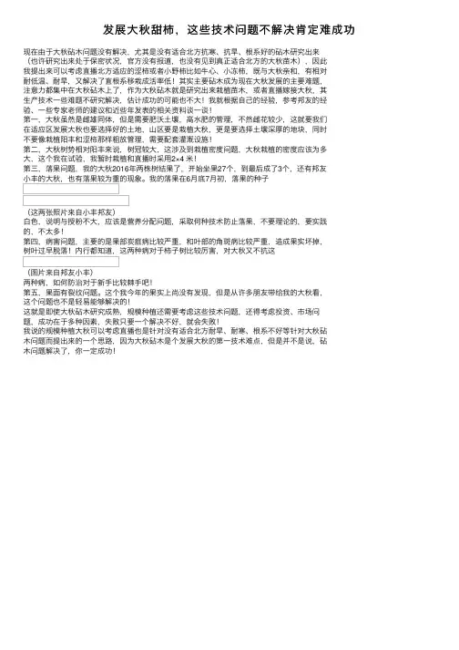 发展大秋甜柿，这些技术问题不解决肯定难成功