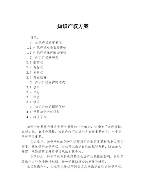 知识产权方案