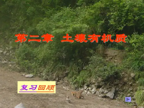 第二章土壤有机质