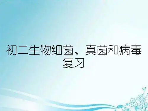 初二生物细菌、真菌和病毒复习