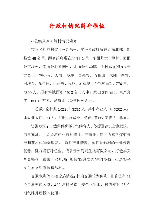 行政村情况简介模板