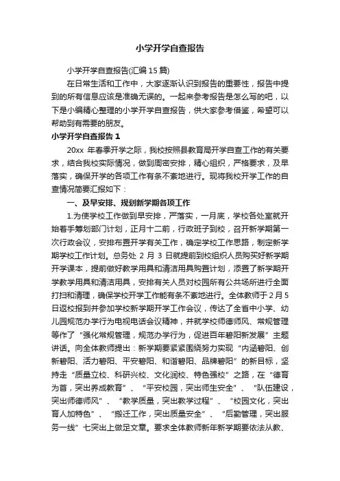 小学开学自查报告