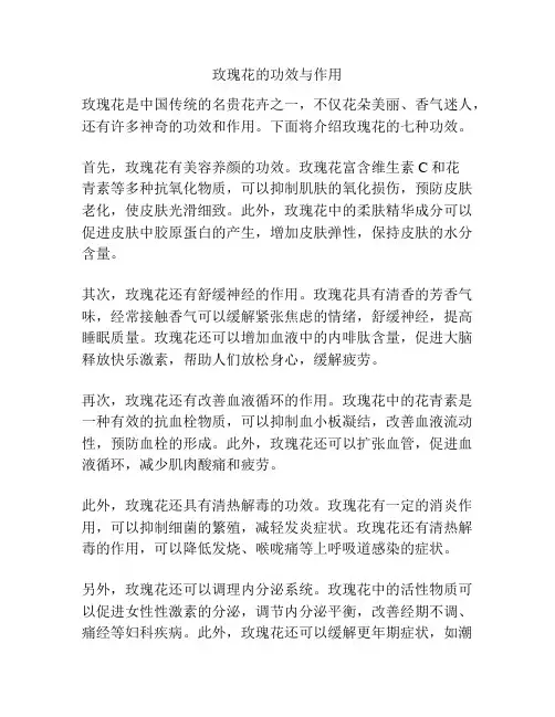 玫瑰花的功效与作用