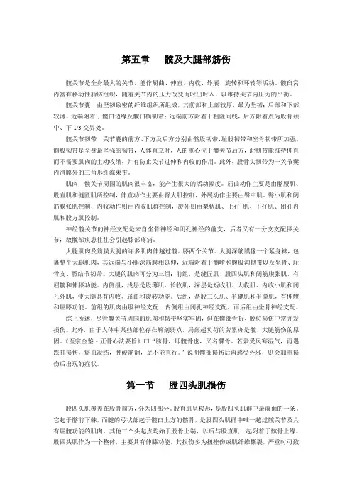 第五章   髋及大腿部筋伤--中医筋伤学(六版)