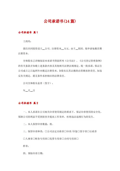 公司承诺书(14篇)
