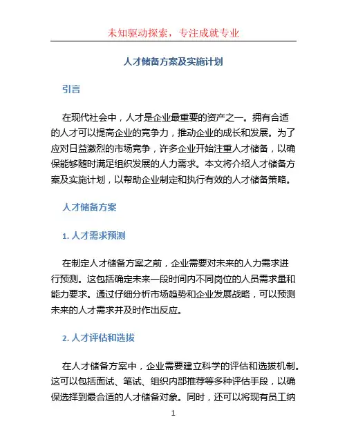 人才储备方案及实施计划