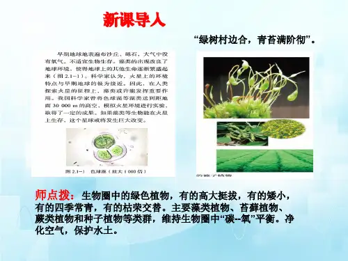 藻类、苔藓植物和蕨类植物能用孢子繁殖后代(第一课时)课件--2025学年济南版生物七年级上册.