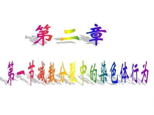 第2章《第1节减数分裂中染色体行为》