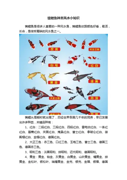 锦鲤鱼种类风水小知识