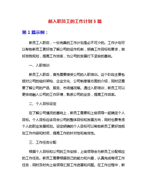 新入职员工的工作计划5篇