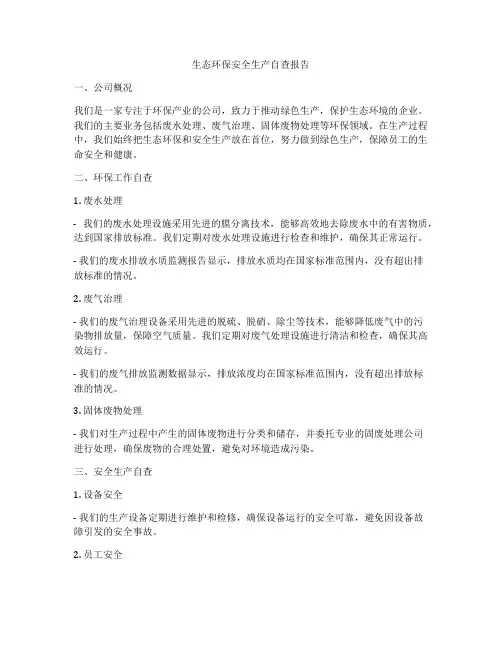 生态环保安全生产自查报告