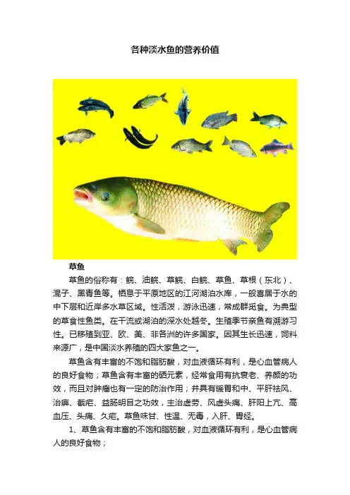 各种淡水鱼的营养价值
