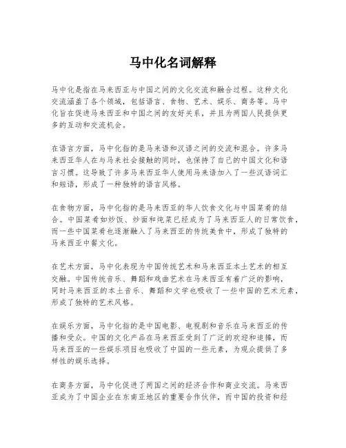 马中化名词解释