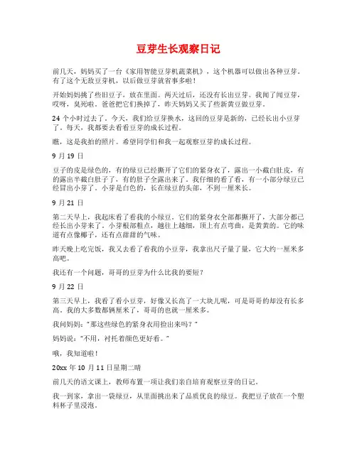 豆芽生长观察日记