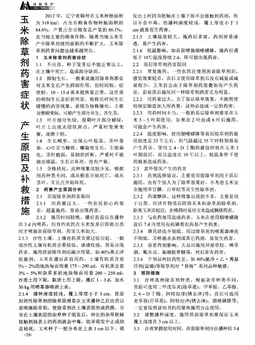 玉米除草剂药害症状 产生原因及补救措施