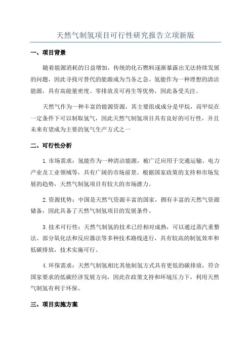 天然气制氢项目可行性研究报告立项新版