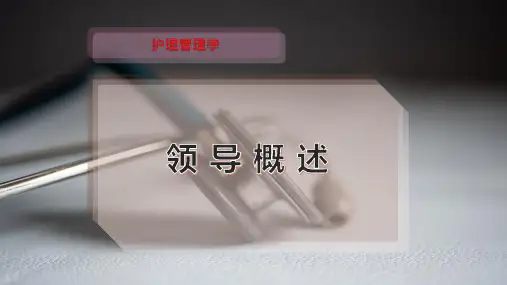 领 导 概 述