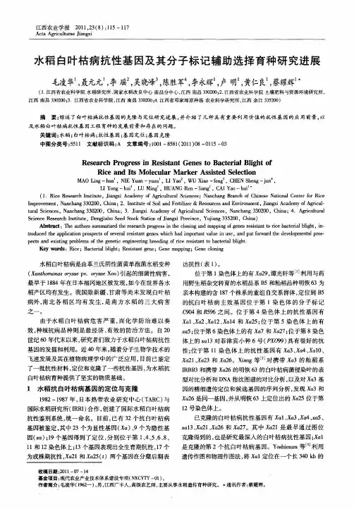 水稻白叶枯病抗性基因及其分子标记辅助选择育种研究进展
