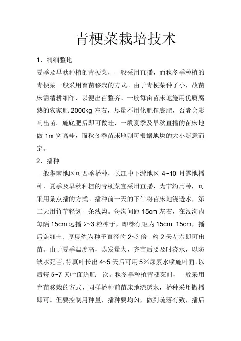 青梗菜栽培技术
