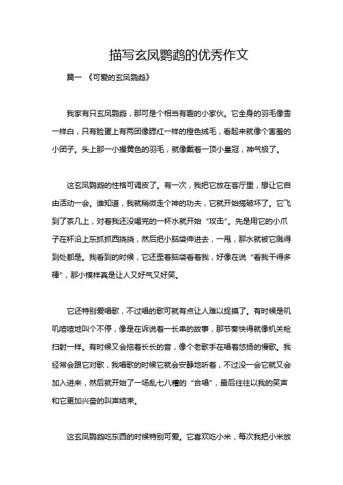描写玄凤鹦鹉的优秀作文