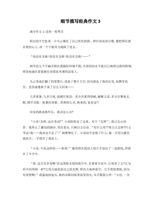 细节描写经典3：送你一轮明月